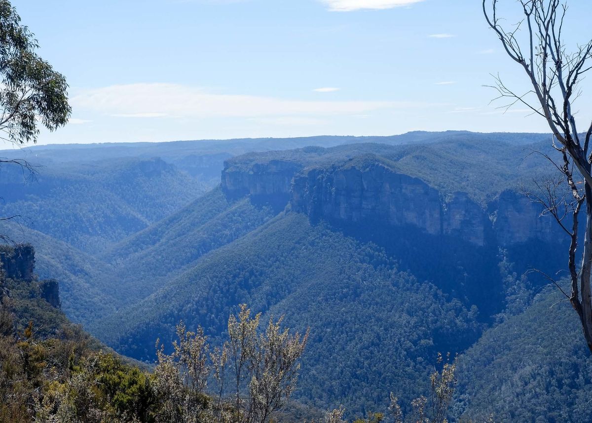 Blue Mountains with Vivien